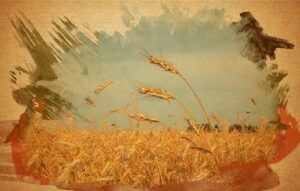 ハイフの効果はどれくらい持続するのか？