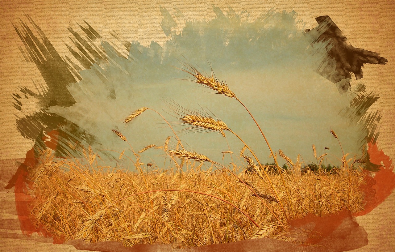 ハイフの効果はどれくらい持続するのか？