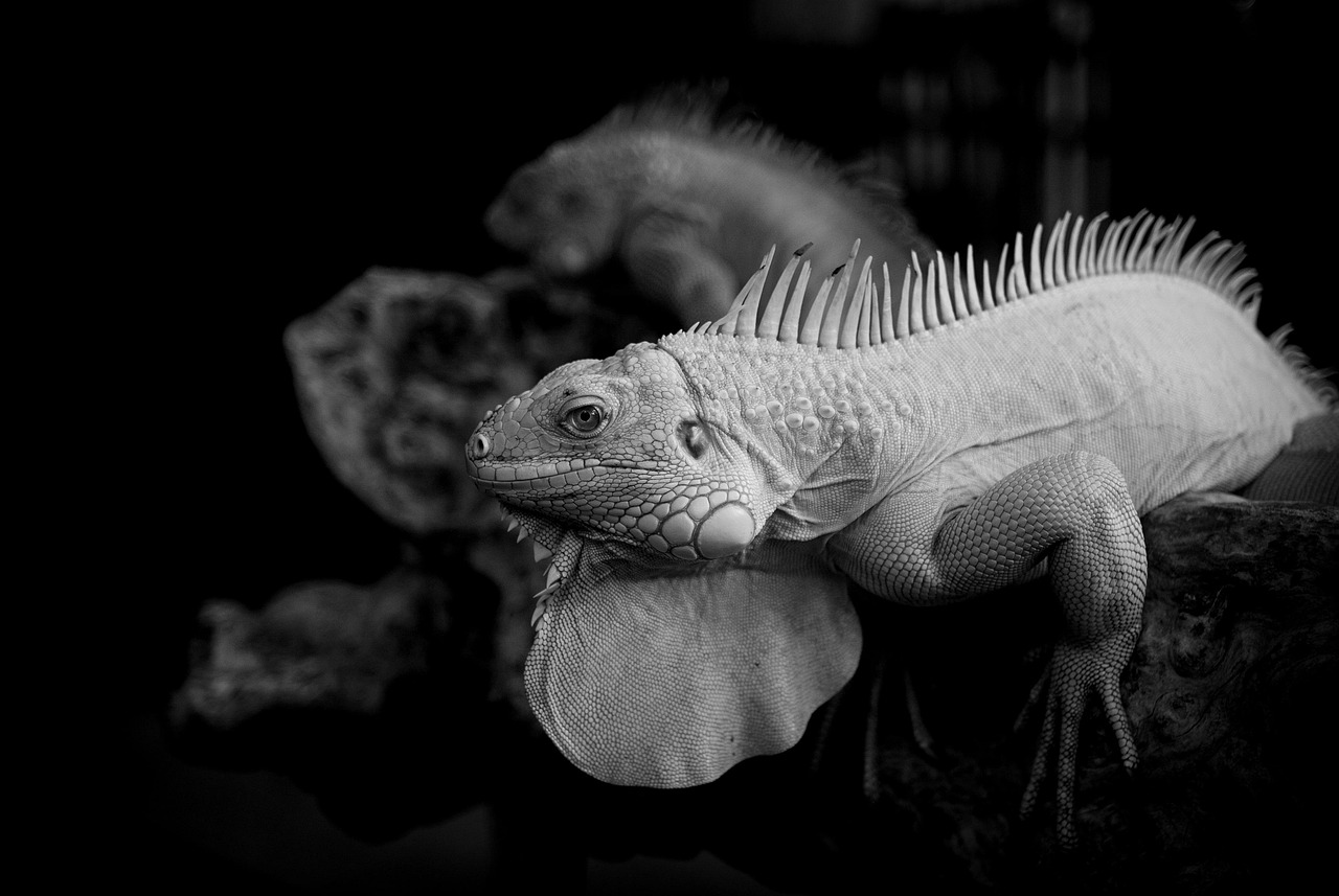 光治療でリフトアップを実現する自然な仕上がりとは？