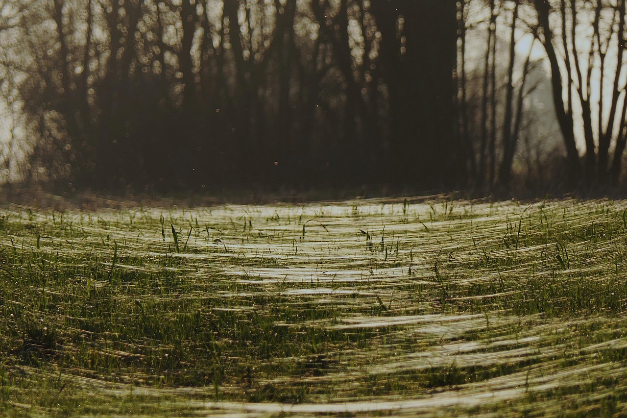 ハイフと糸リフトの効果はどっちが優れているの？